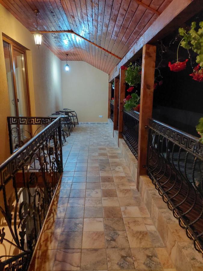 Casa Cristina Hotel Cârțișoara Exterior photo