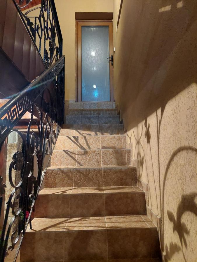 Casa Cristina Hotel Cârțișoara Exterior photo
