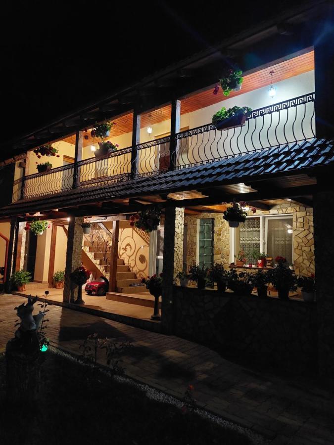 Casa Cristina Hotel Cârțișoara Exterior photo