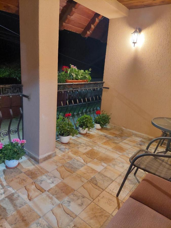 Casa Cristina Hotel Cârțișoara Exterior photo