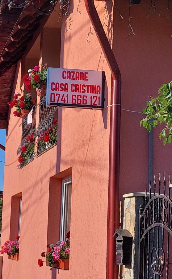Casa Cristina Hotel Cârțișoara Exterior photo