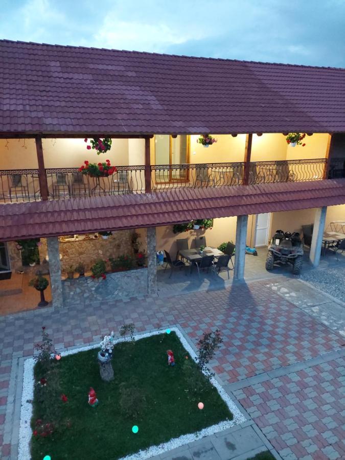 Casa Cristina Hotel Cârțișoara Exterior photo