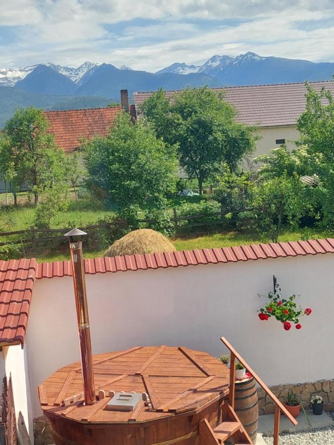 Casa Cristina Hotel Cârțișoara Exterior photo