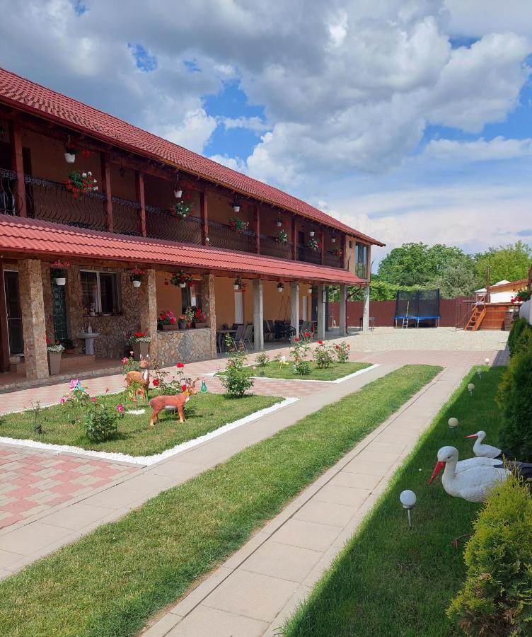 Casa Cristina Hotel Cârțișoara Exterior photo