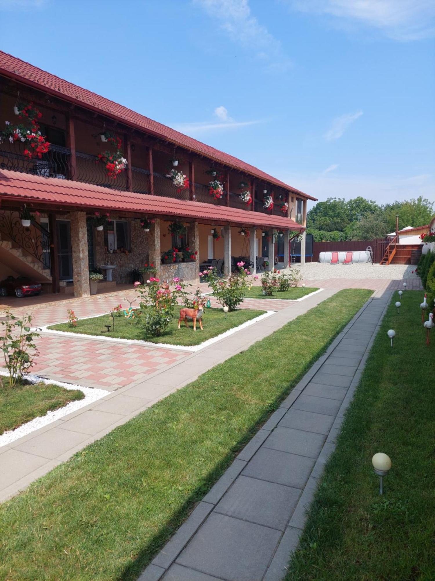 Casa Cristina Hotel Cârțișoara Exterior photo