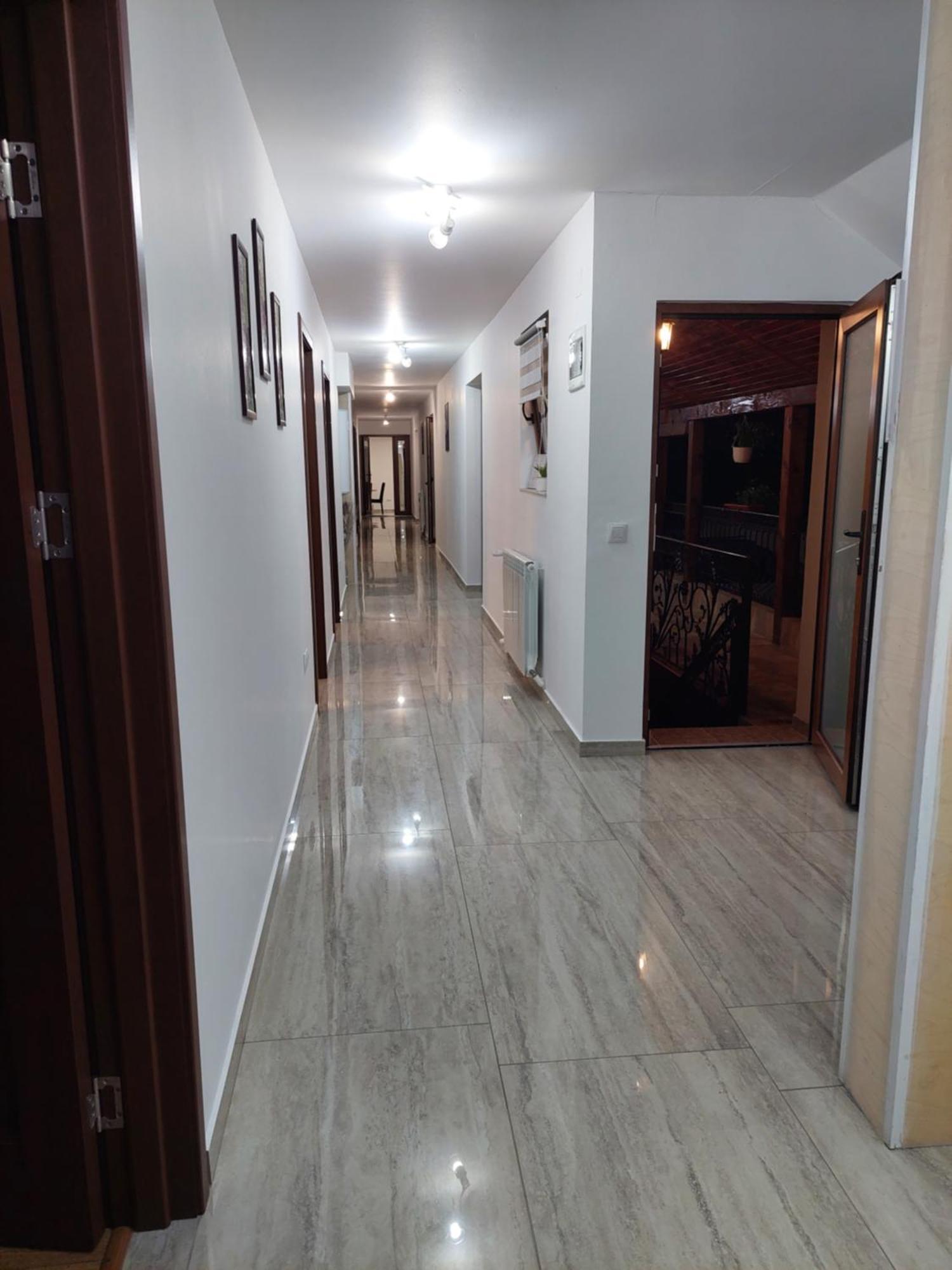 Casa Cristina Hotel Cârțișoara Exterior photo